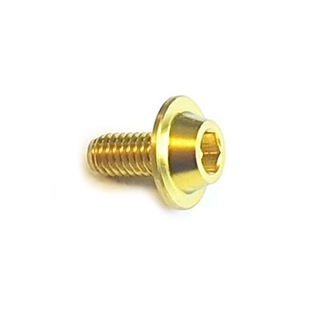 Titanium Clutch Retainer Screw